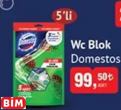 DOMESTOS WC BLOK DOMESTOS WC BLOK